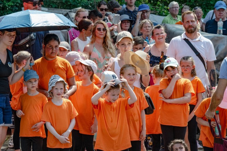 Sommerfest 2026 der Musicalschule Ahrensburg
